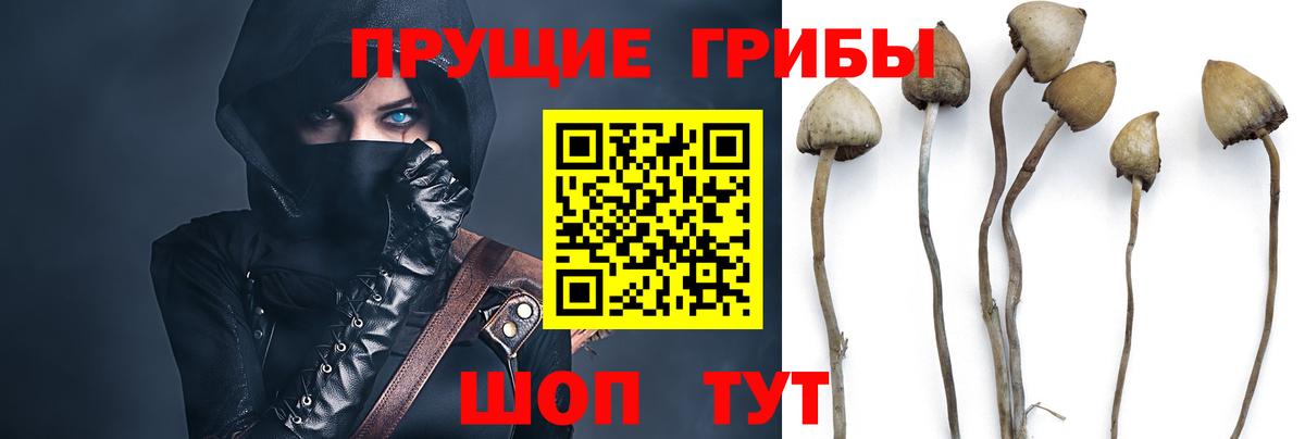 Галлюциногенные грибы Magic Shrooms  Вход с VPN  где продают   Аргун 